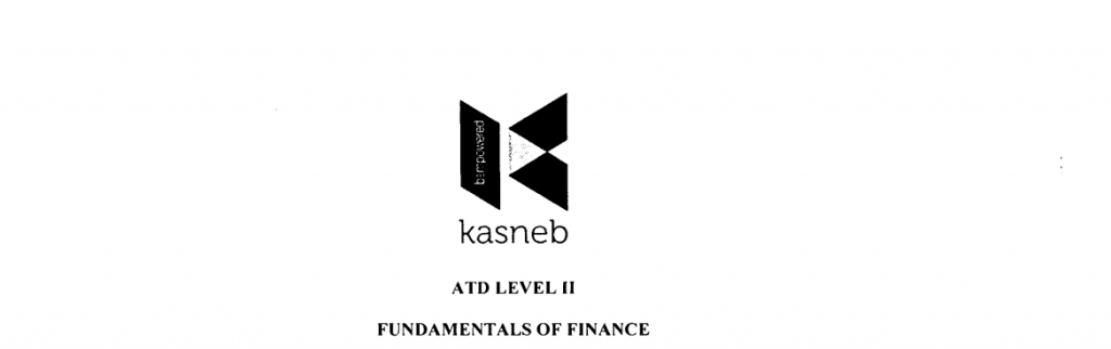 ndamentals of Finance notes and past papers