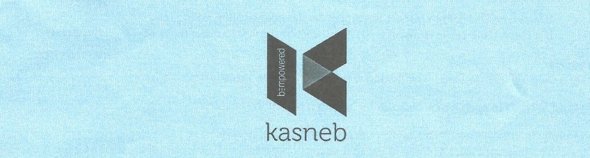 KASNEB CPA PAST PAPERS AND ANSWERS