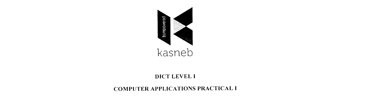 Computer Applications Practical I November 2018 Past question Paper and