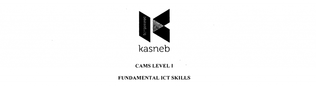 Fundamentals of ICT skills notes and past papers