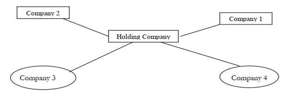 HOLDING COMPANY STRUCTURE