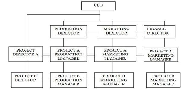 TYPICAL MATRIX STRUCTURE
